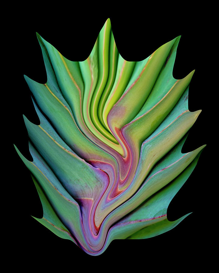 Alien Leaf Digital Art by Robert Woodward