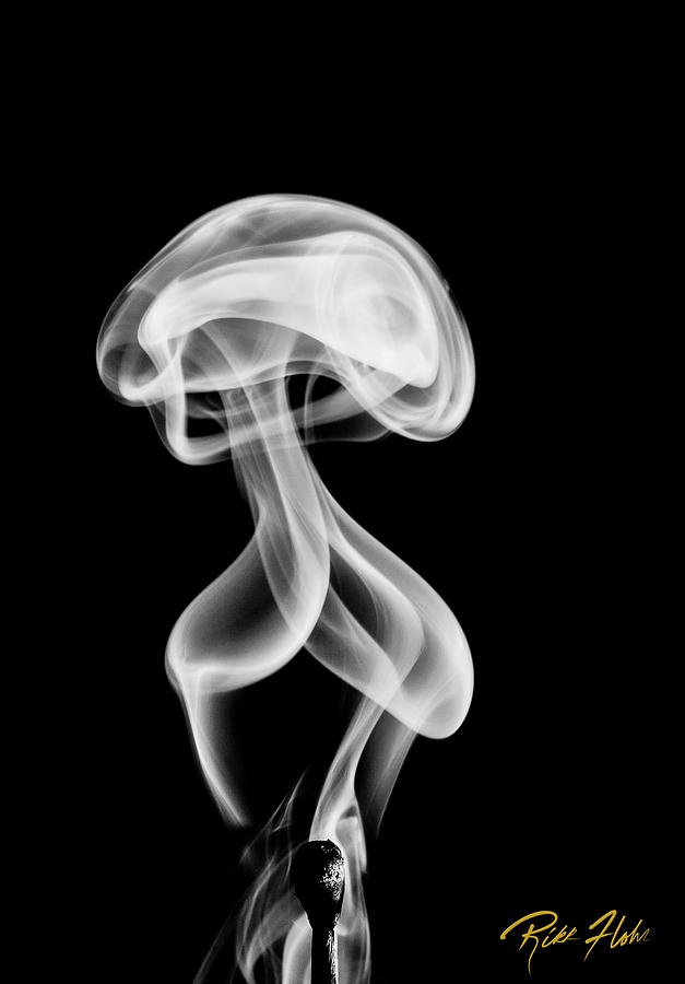 Alien Smoke Creature Photograph by Rikk Flohr