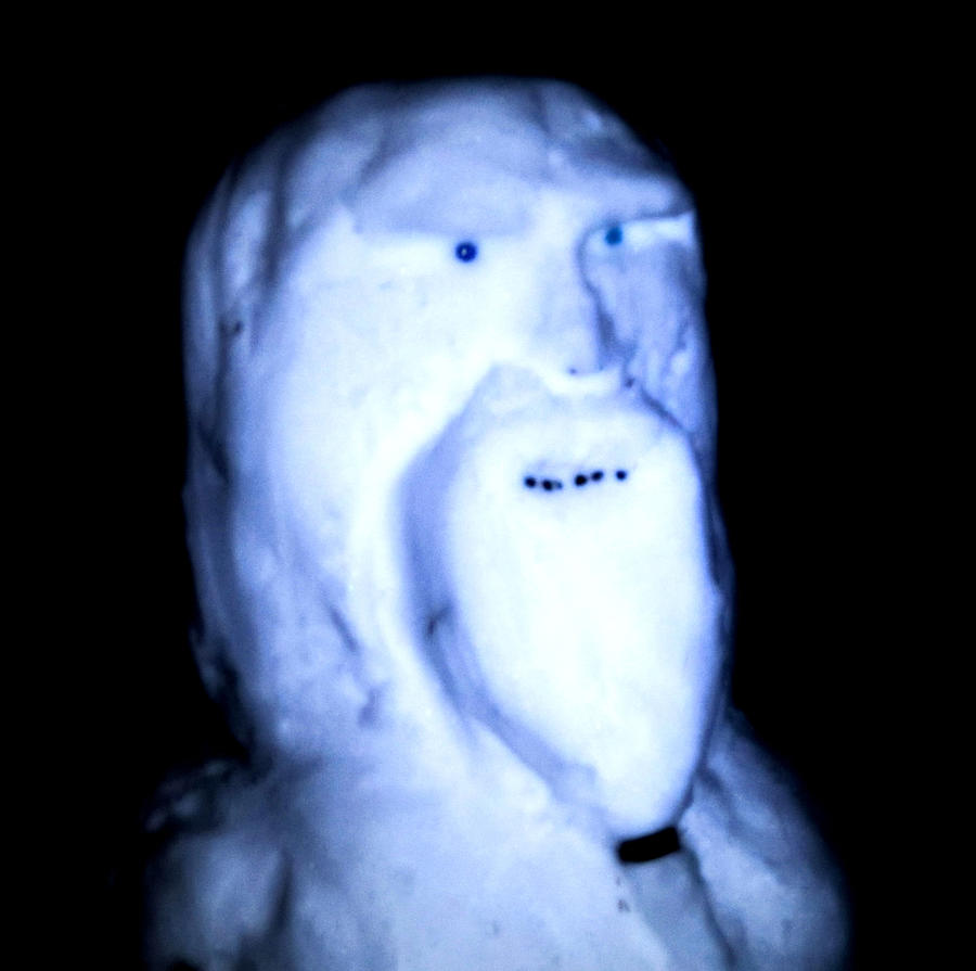 Alien Snowman Digital Art by Digital Art Cafe