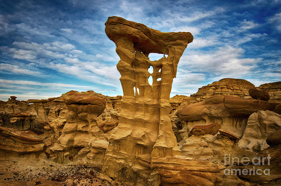 Alien Throne New Mexico Photograph by Bob Christopher