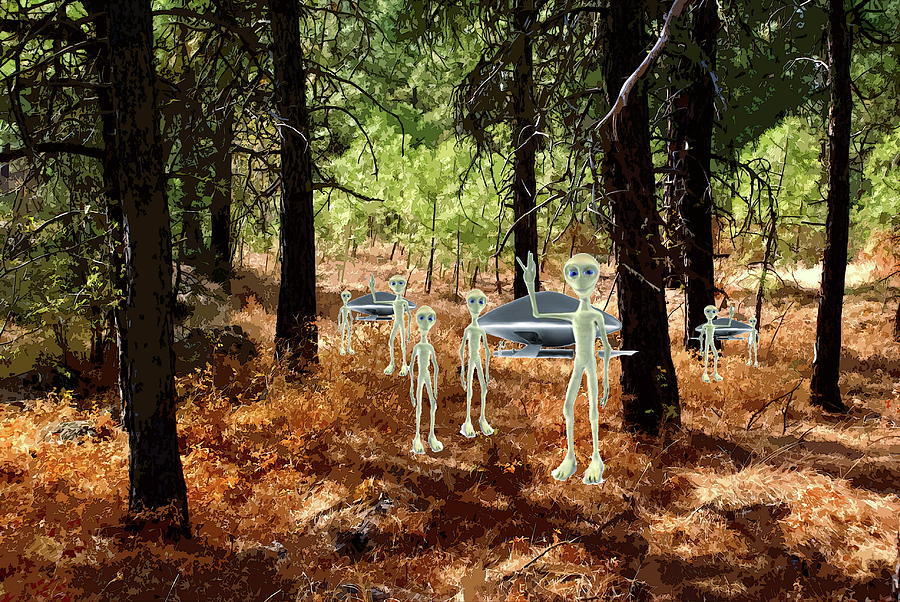 Aliens in the Woods Photograph by Ben Upham III