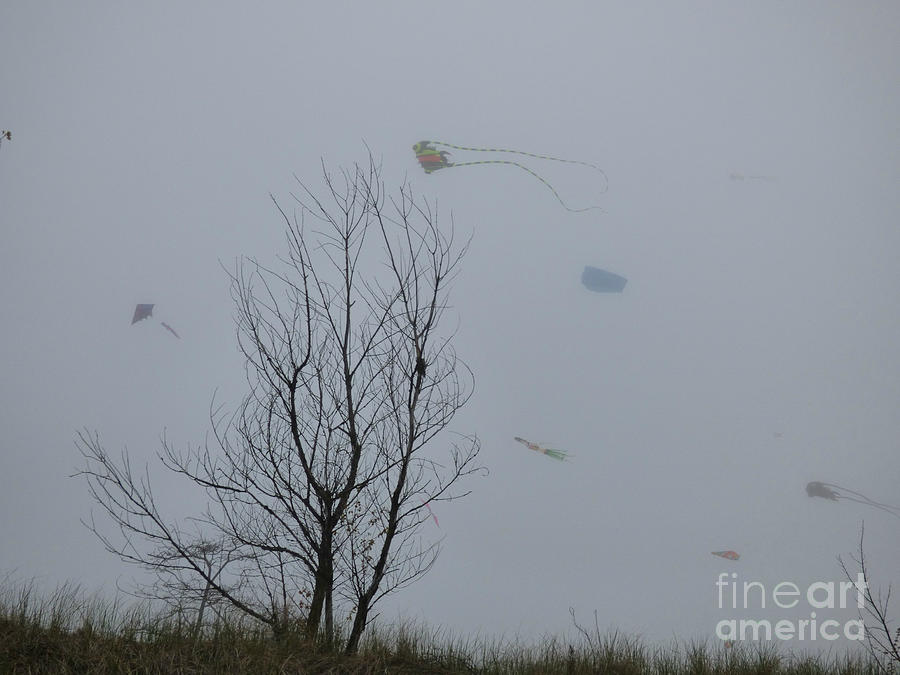 Aliens Or Kite Festival? Photograph
