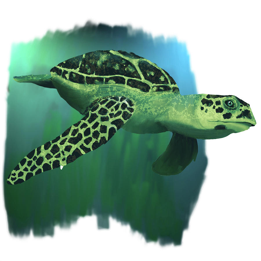 Alishas Green Sea Turtle Digital Art By Frank Juval Pixels