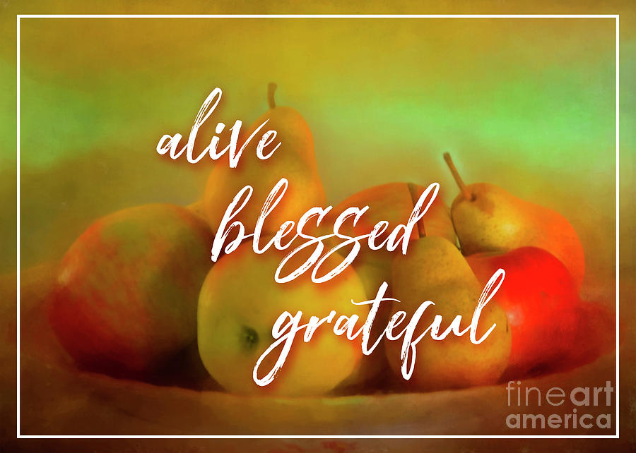 Alive Blessed Grateful Photograph by Hal Halli
