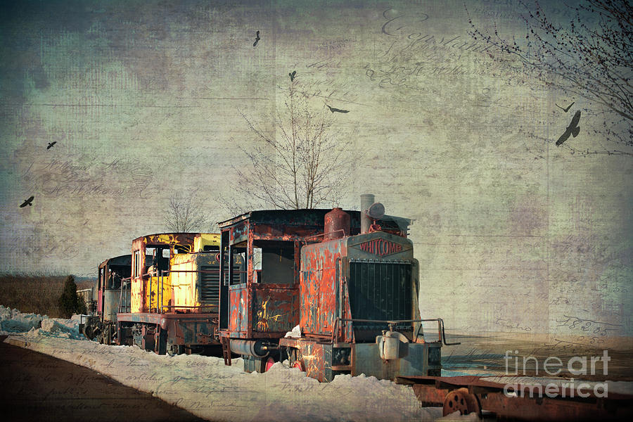 All Aboard Photograph by Judy Wolinsky