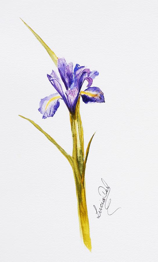 Iris Painting - All Alone by Lucia Del