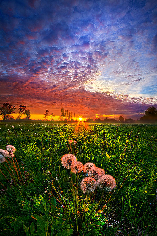 All Changeful As The Light  Photograph by Phil Koch