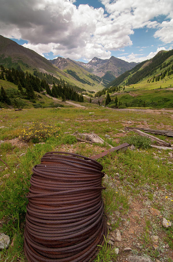 All Coiled Up Photograph by Steve Stuller