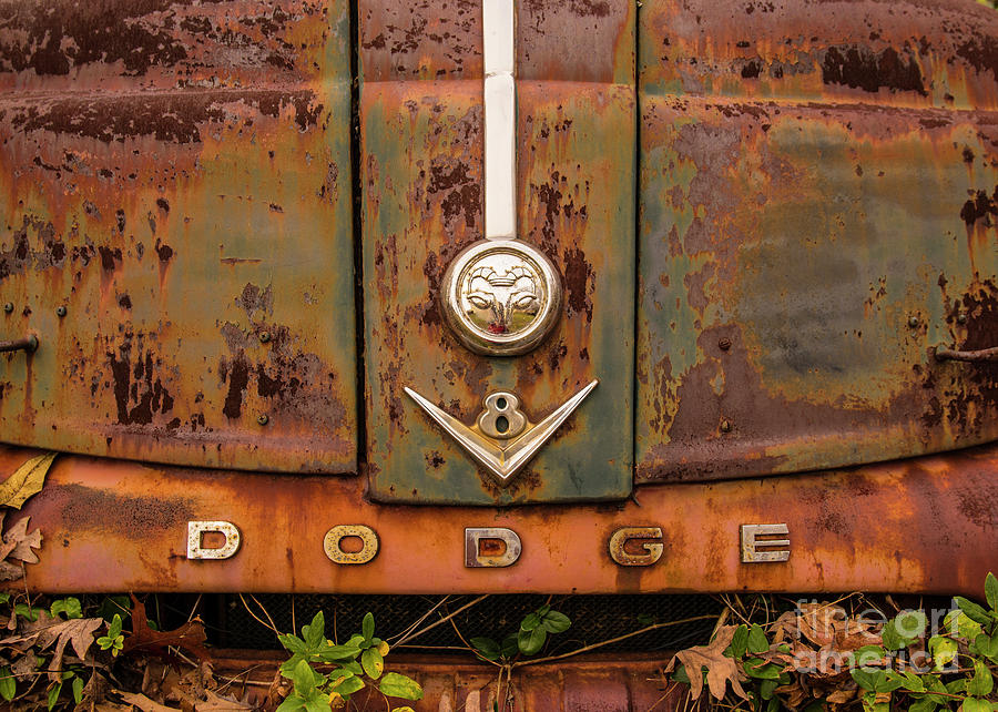 Dodge I Photograph by Terry Rowe