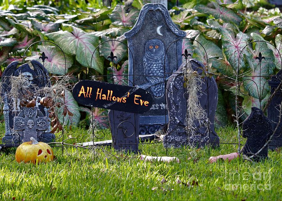 All Hallows Eve Photograph by Diann Fisher