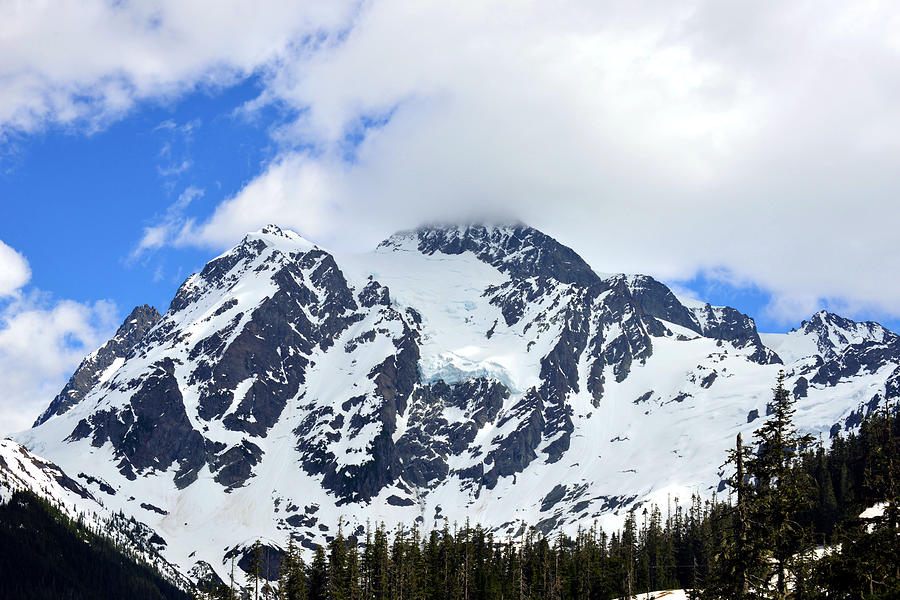 All in Snow and Clouds Photograph by Lena Photo Art - Fine Art America