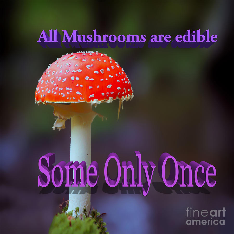 All mushrooms are edible. Some only once Photograph by Humorous Quotes