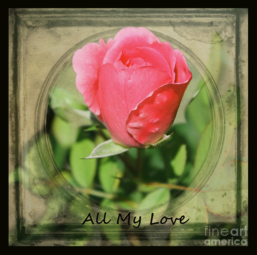 All My Love Photograph by Nina Silver