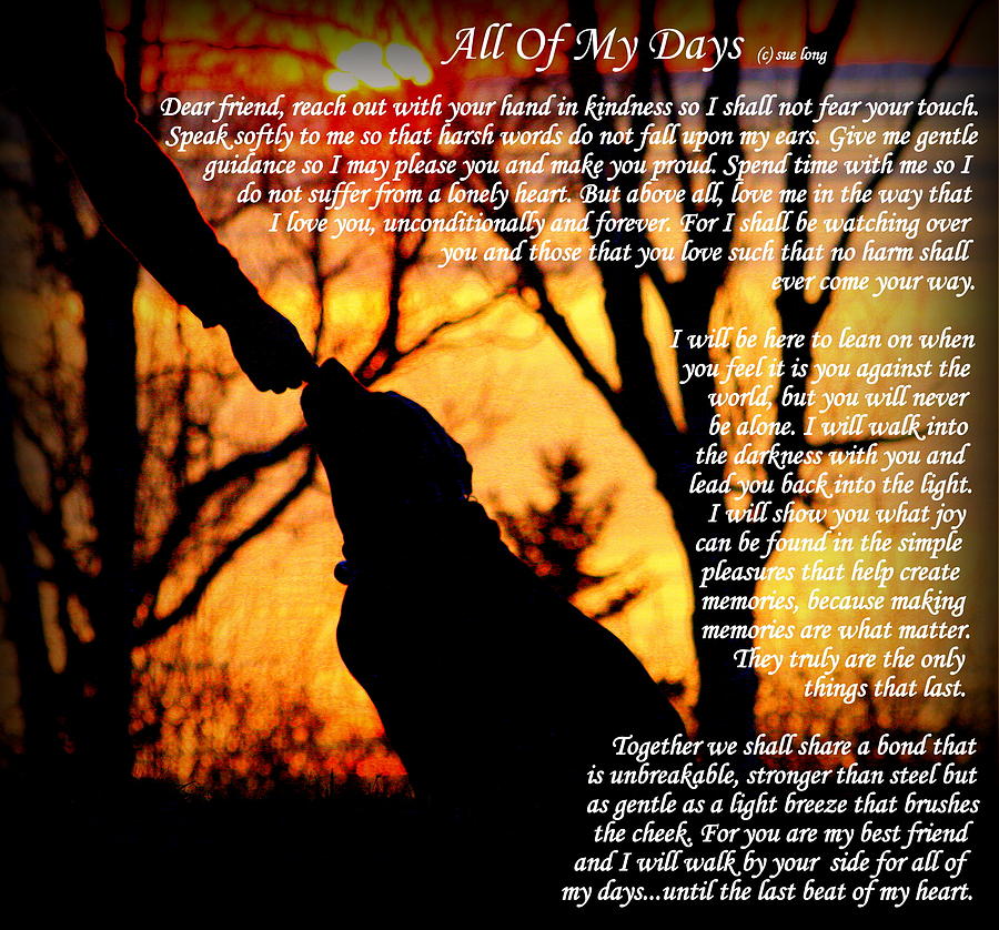All Of My Days Version Three Photograph by Sue Long