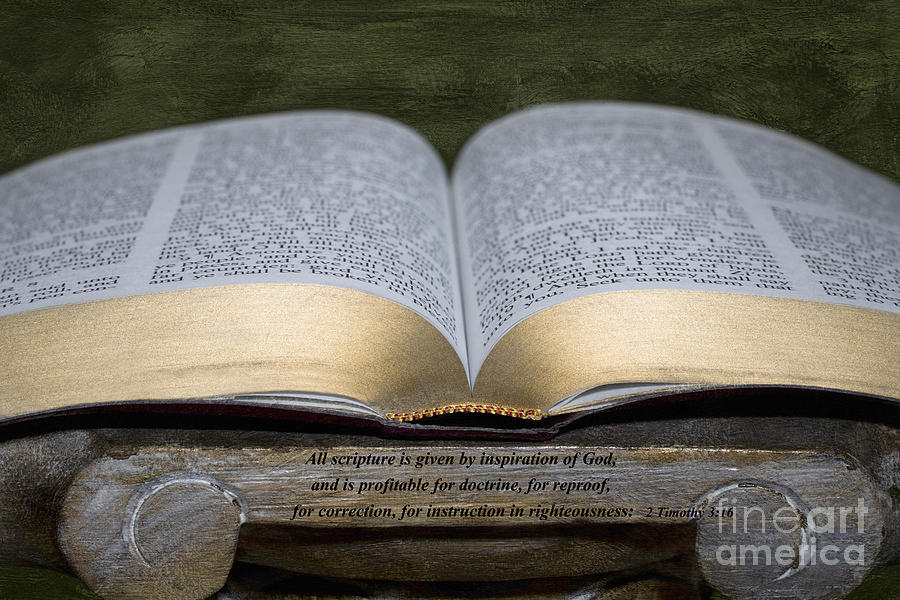 All Scripture Photograph by Diane Macdonald