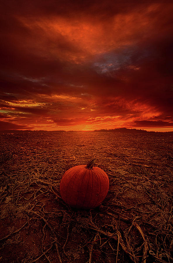 All Thats Left To Do Is Wait Photograph by Phil Koch