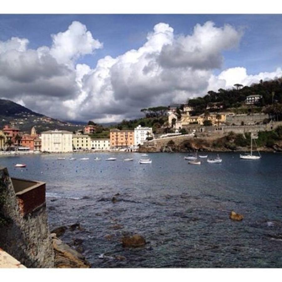 Liguria Photograph - All The Colors Of Sestri Levante by Stefano Bagnasco
