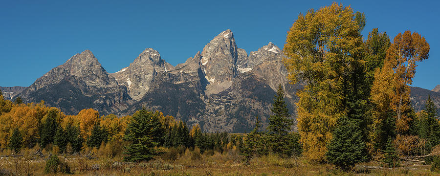 All The Fall Colors At The Tetons Photograph by Yeates Photography
