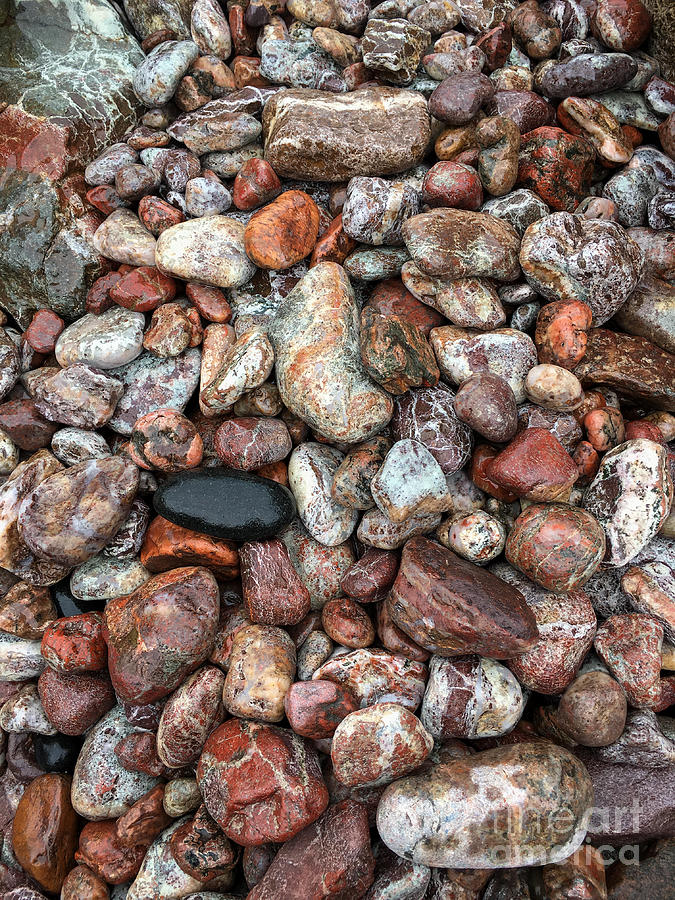 All the Pretty Stones Photograph by Rachel Cohen