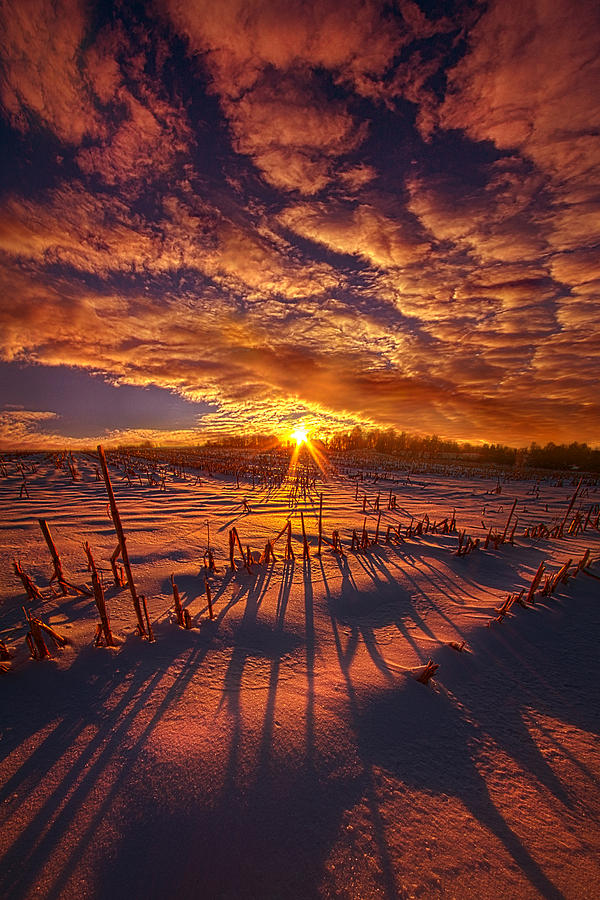 Winter Photograph - All the Things that Id Like to Say by Phil Koch