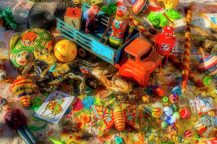 All The Toys In The Toy Box Photograph by Garry Gay