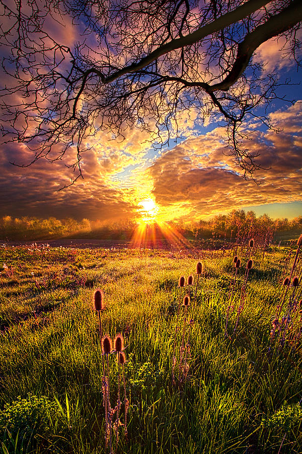 Spring Photograph - All The World Was Right by Phil Koch