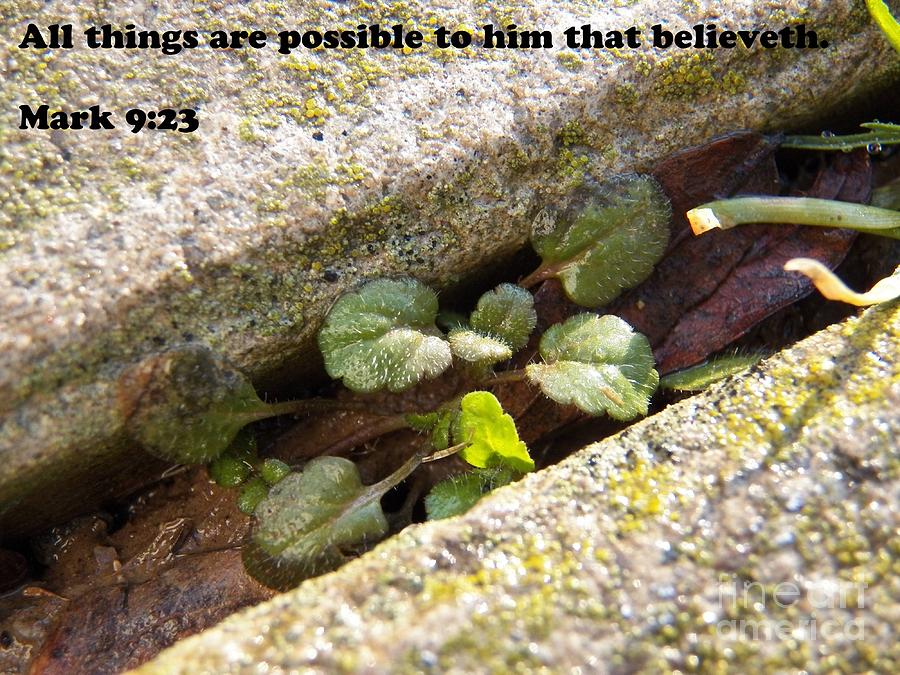 All Things Are Possible Photograph by Corinne Elizabeth Cowherd
