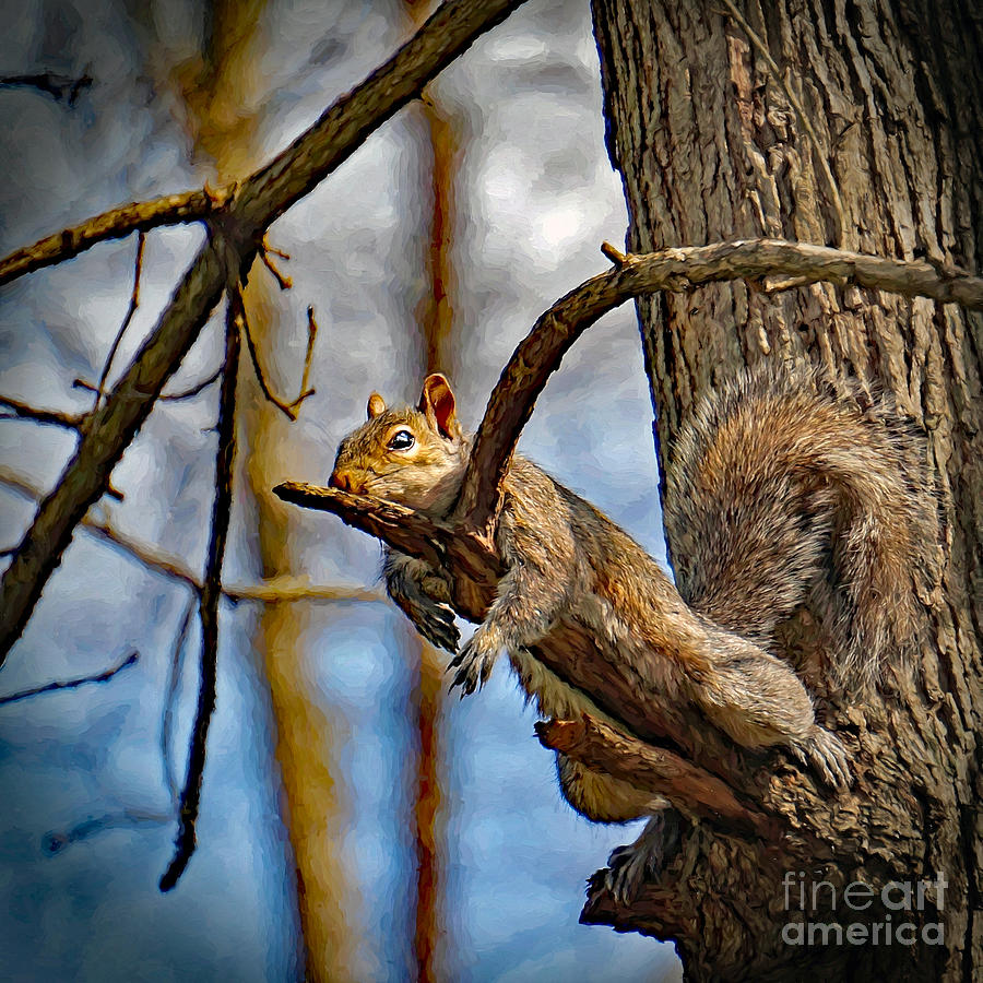 Nature Photograph - All Tuckered Out by Sue Melvin