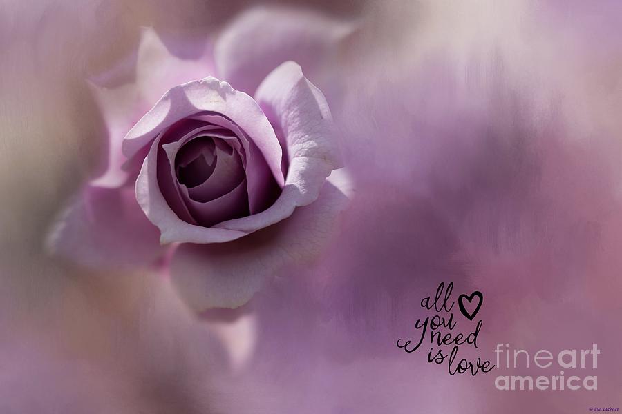 Valentines Day Photograph - All You Need Is Love by Eva Lechner
