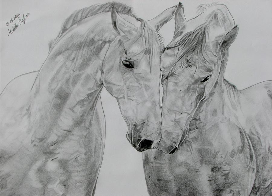 Horse Drawing - All you need is love by Melita Safran