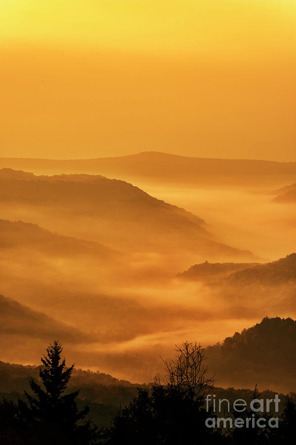 Allegheny Mountain Sunrise Vertical Photograph by Thomas R Fletcher