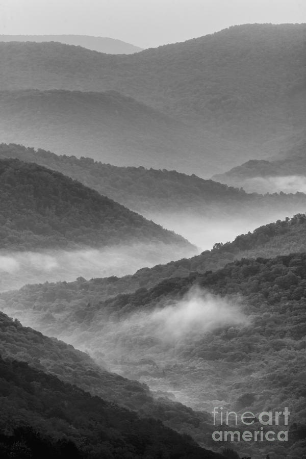 Allegheny Mountains Photograph by Thomas R Fletcher