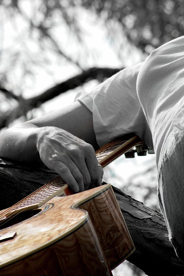 Guitar Photograph - Allegiance by Elizabeth Hart Guitar Photograph - Allegiance by Elizabeth Hart