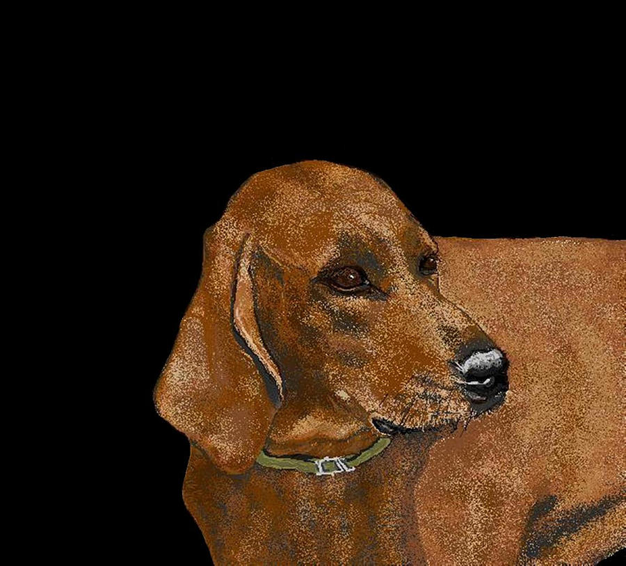 Dog Digital Art - Allegra by Carole Boyd