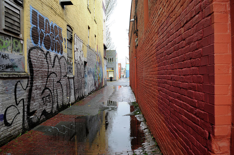 Alley After Rain Photograph