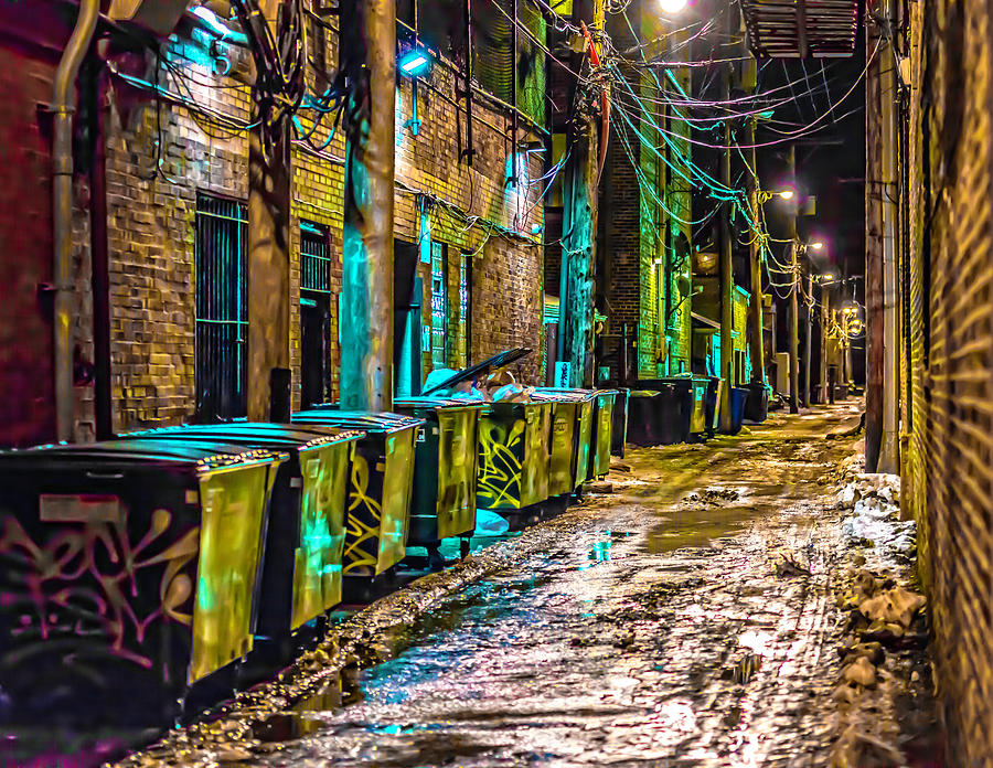 Alley in Uptown Chicago DSC2687 Photograph by Raymond Kunst