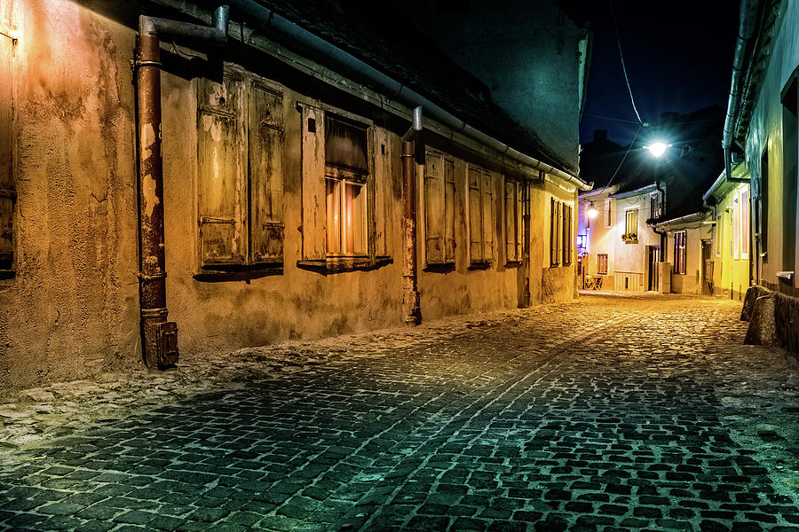 Alley Photograph by Mihai Andritoiu