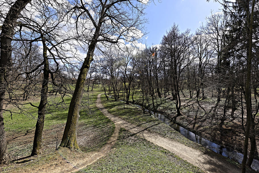 Alley Photograph - Alley of the river in the park Sub Arini Sibiu Romania by Adrian Bud Alley Photograph - Alley of the river in the park Sub Arini Sibiu Romania by Adrian Bud