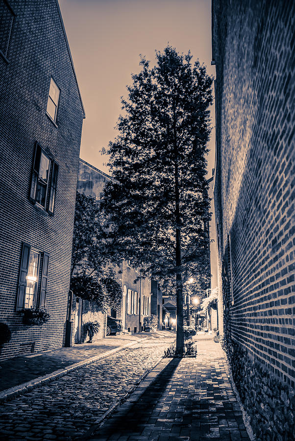 Alleyway Black and White Photograph by Mark Dodd