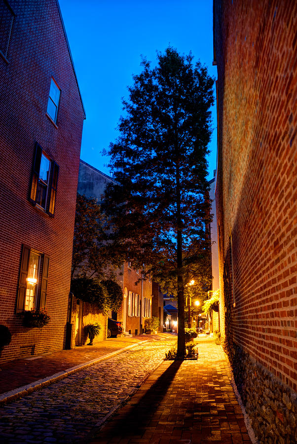 Alleyway Photograph by Mark Dodd