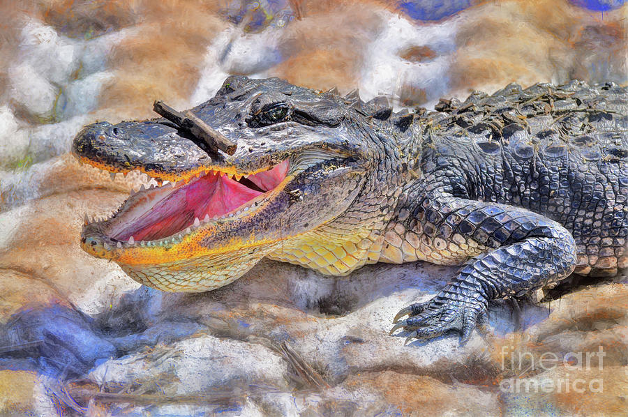 Alligator at Brazos Bend Photograph by Savannah Gibbs