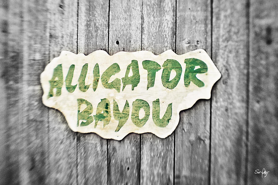 Alligator Photograph - Alligator Bayou by Scott Pellegrin