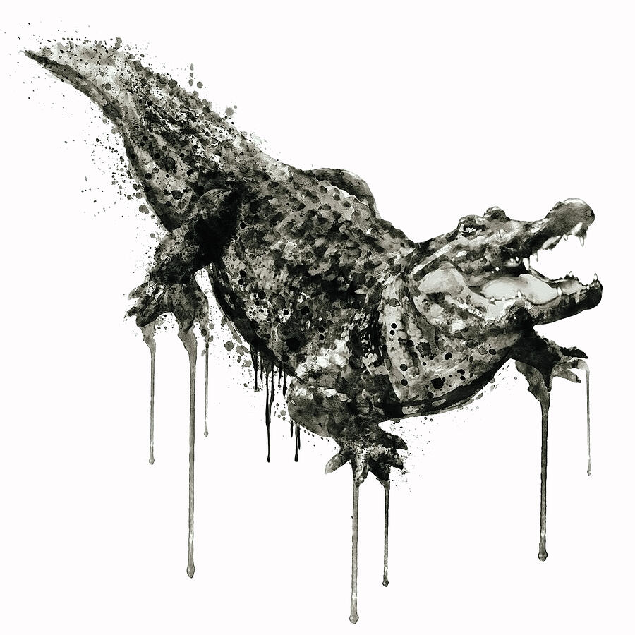 Alligator Black and White Painting by Marian Voicu