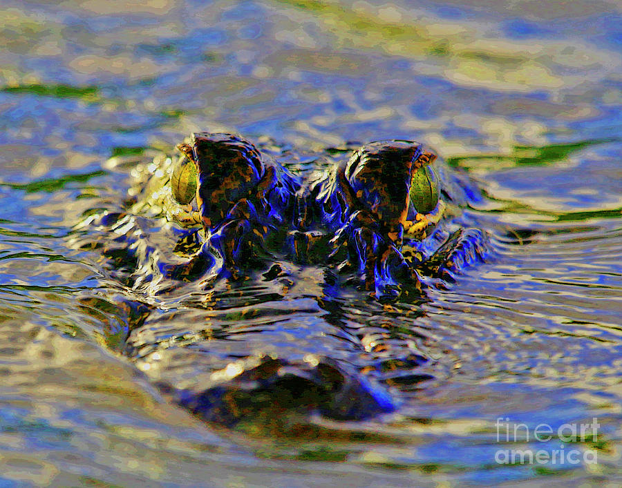 Alligator Green Blue Photograph by Luana K Perez