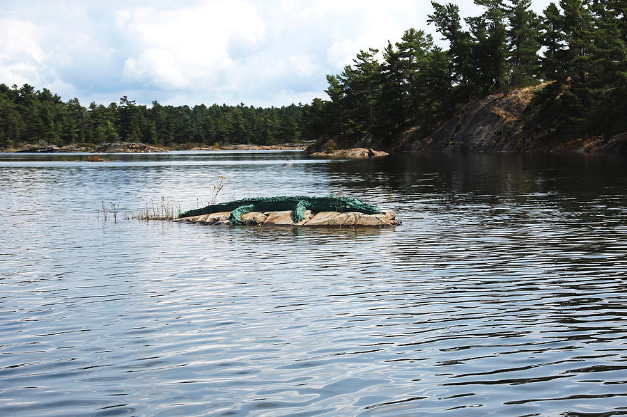 Alligator Island Photograph by Debbie Oppermann