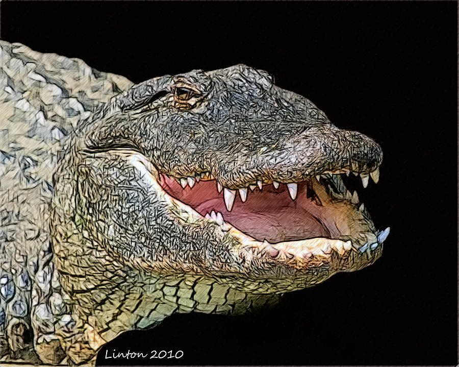 Alligator Digital Art by Larry Linton