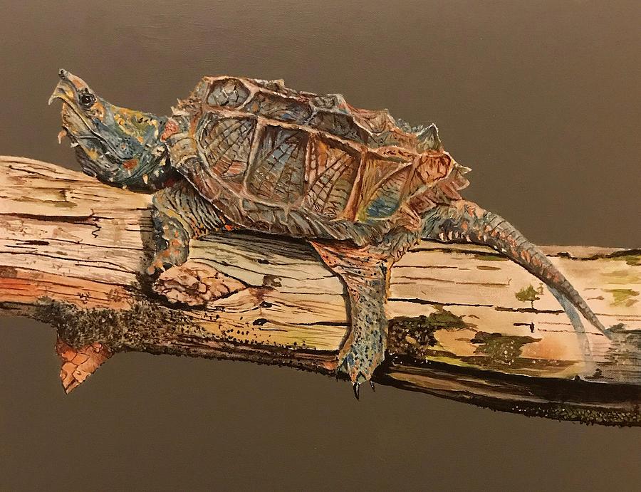 snapping turtle art