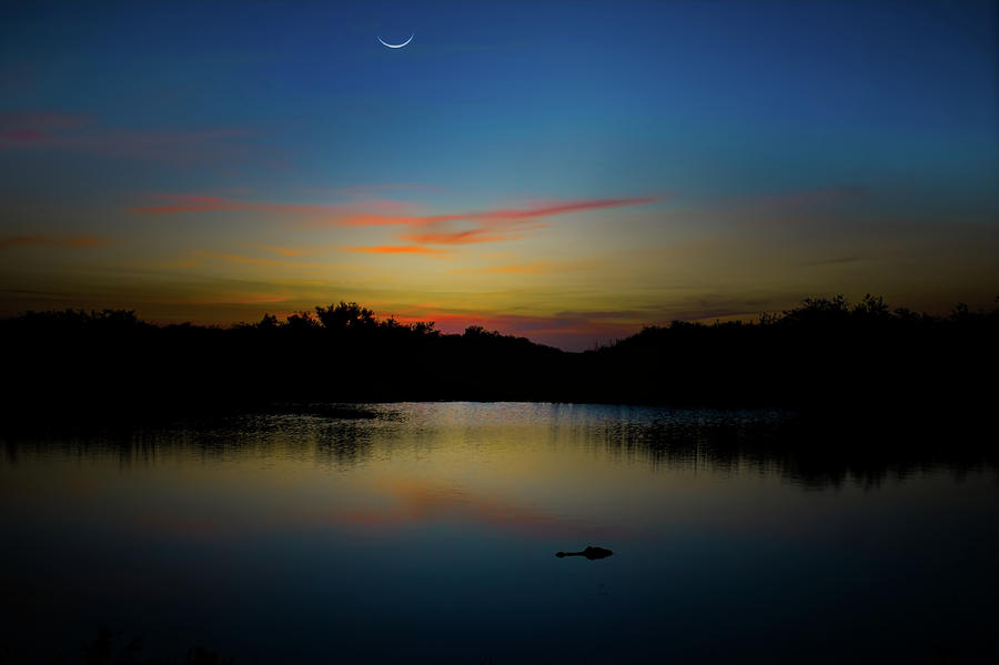 Alligator Photograph - Alligator Sunset by Mark Andrew Thomas