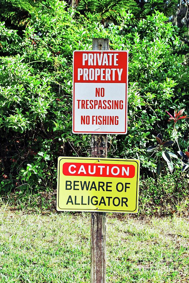 Alligator Warning Photograph By Gary Wonning - Pixels