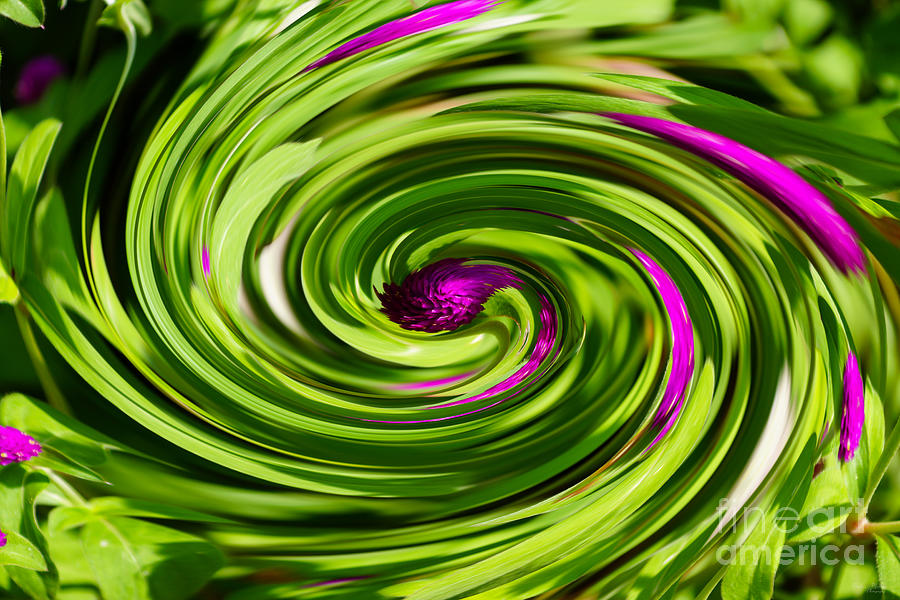 Allium Abstract Digital Art by Jennifer White